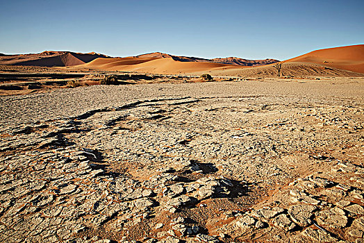 干燥,室外,土地,正面,沙丘,盐,粘土,索苏维来地区,纳米布沙漠,纳米比诺克陆夫国家公园,纳米比亚,非洲