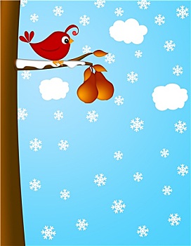 圣诞节,鹧鸪,梨树,冬景