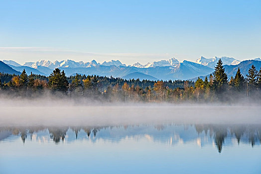 秋天,早晨,晨雾,靠近,阿尔卑斯山,全景,山,上巴伐利亚,巴伐利亚,德国,欧洲