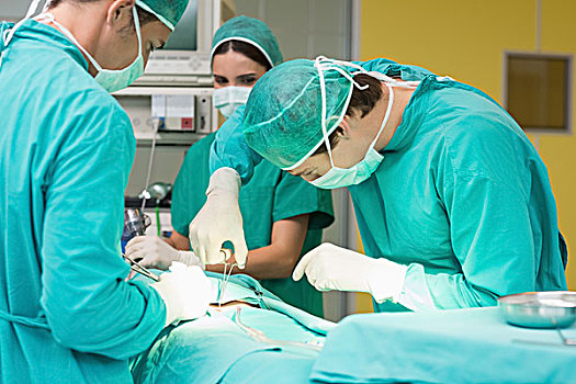 外科,工作,剪刀,病人,手术室