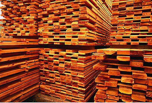 切削,一堆,木材,西部,红色,雪松,不列颠哥伦比亚省,加拿大