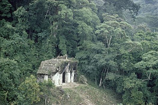 玛雅,遗址,帕伦克,寺庙,太阳,围绕,雨林,恰帕斯,墨西哥