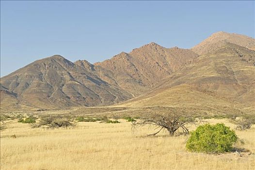 山,风景,西南方,靠近,峡谷,纳米比亚,非洲