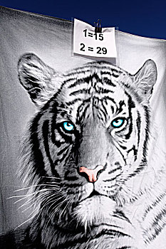 虎,毛巾