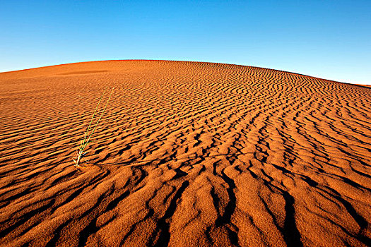 沙子,图案,沙丘,沙漠,纳米比亚,非洲