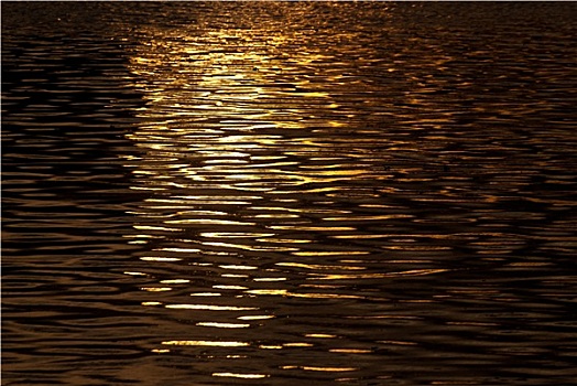 金色,闪闪发光,水,亮光,日落