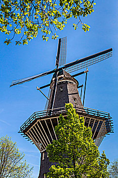 上面,局部,风车,晴天,阿姆斯特丹,荷兰
