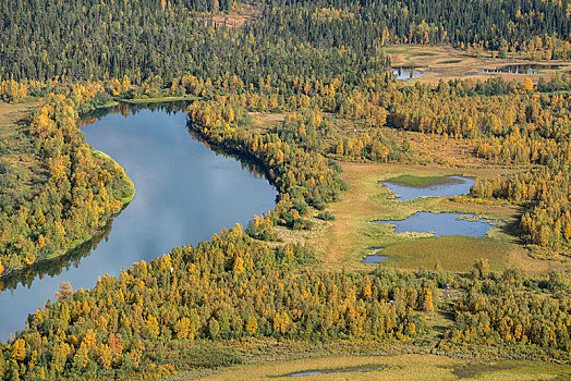 河,风景,秋天,北博滕省,拉普兰,瑞典,欧洲
