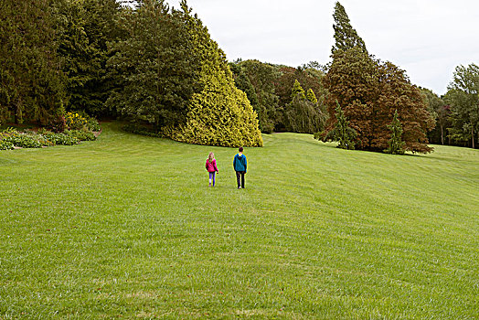 两个孩子,走,巨大,漂亮,绿色公园