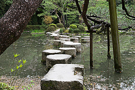 垫脚石,著名,特征,花园,平安神宫