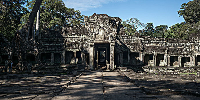 遗址,庙宇,吴哥,收获,柬埔寨