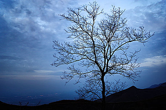 西安,洪庆山,孤树