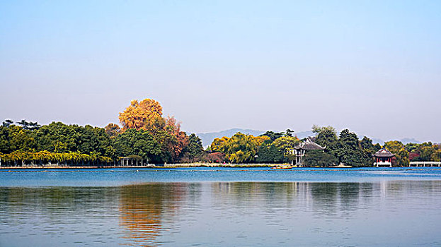 杭州西湖花港观鱼远景