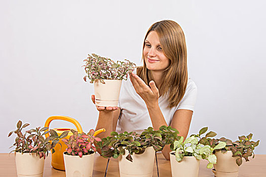 高兴,女孩,收集,室内植物