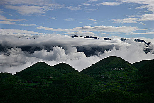 巫溪云台山清晨雨过天晴的云雾