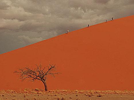 旅游,沙漠,纳米比亚