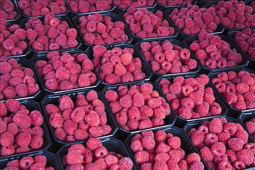 树莓,出售,市场货摊,市场,卑尔根,霍达兰,挪威
