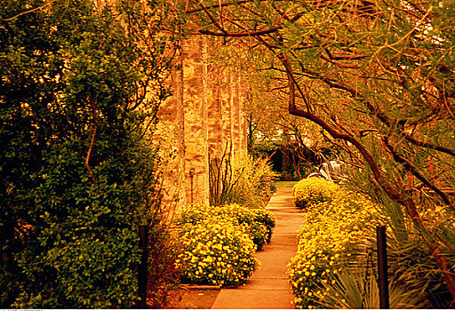 人行道,花园,圣安东尼奥,德克萨斯,美国