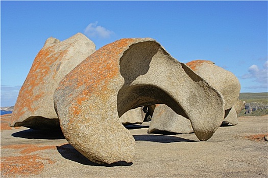 石头,追逐,国家公园,袋鼠,岛屿,澳大利亚