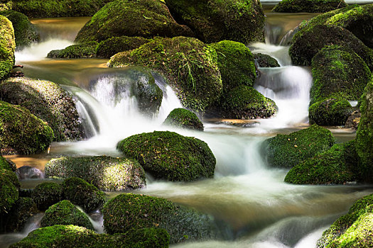 山川,树林