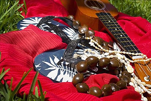一对,人字拖鞋,壳,花环,夏威夷四弦琴,红色,布,草