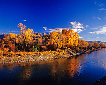 秋色,河,顶峰,靠近,蒙大拿,美国