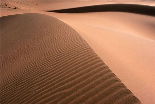 波纹,沙丘,纳米比亚