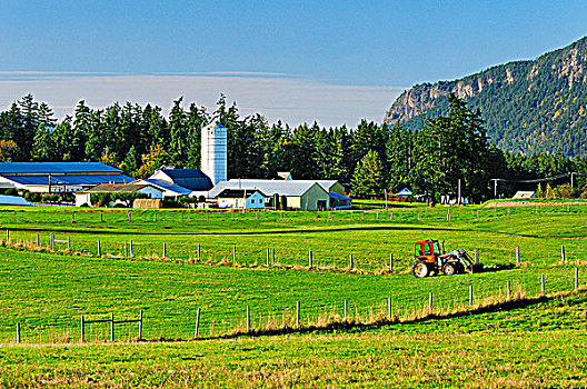拖拉机,坐,土地,靠近,农场,不列颠哥伦比亚省,加拿大