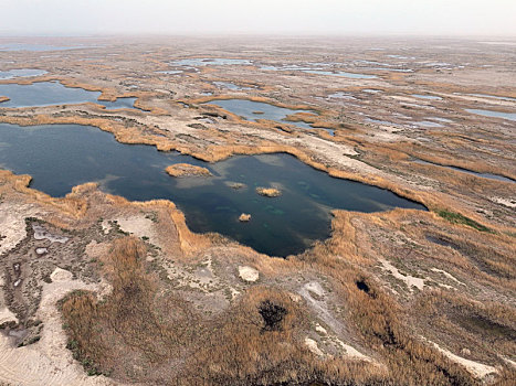 新疆若羌,台特玛湖,昔日干盐壳,今朝美湿地