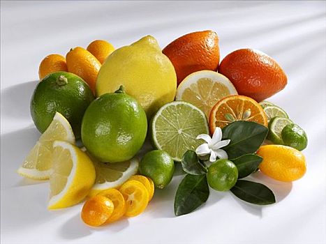 柑橘,水果,安静,生活