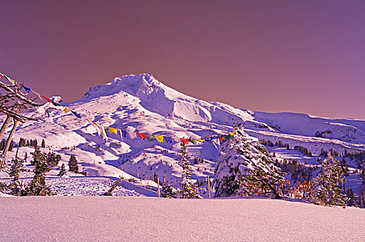 俄勒冈,美国,初雪,胡德山,胡德山国家森林