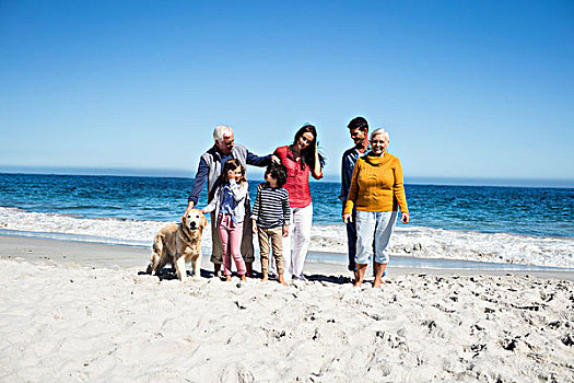 可爱,家庭,走,狗,海滩