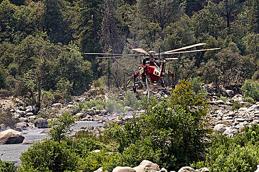 美国,加利福尼亚,门口,直升飞机,水,默塞德河,争斗,森林火灾