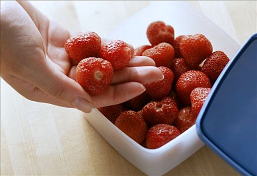 草莓,拿着,塑料容器