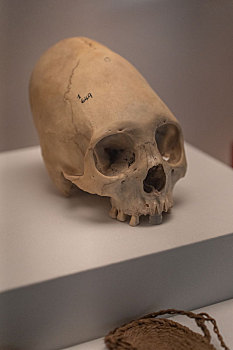 秘鲁印加博物馆印加帝国人工变形颅骨