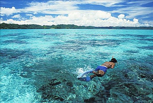 密克罗尼西亚,贝劳,洛克群岛,人,通气管,上方,浅,礁石