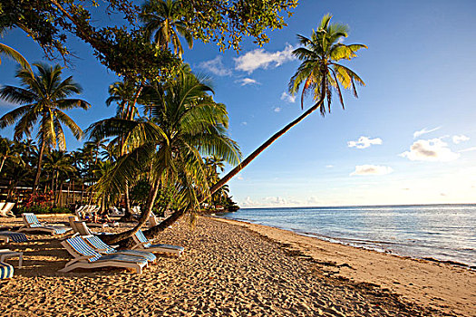 香格里拉,斐济,胜地,水疗,珊瑚海岸,维提岛