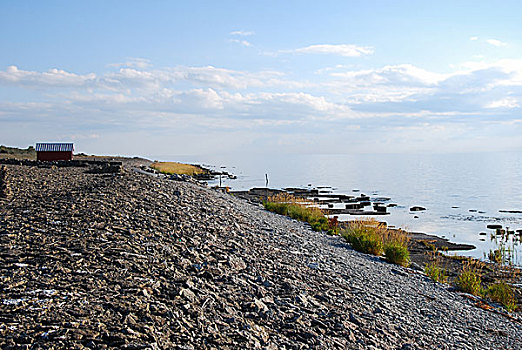 沿岸,风景,静水