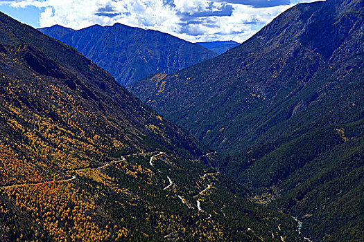 德钦秋天盘山路