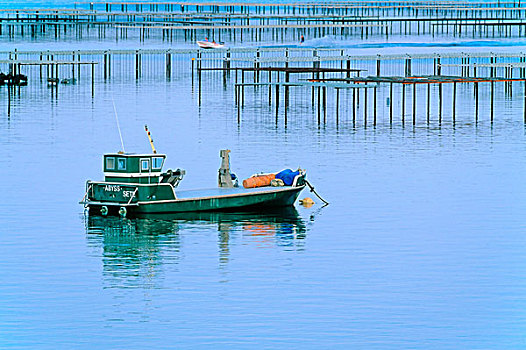 渔船,牡蛎养殖场,郎格多克,法国
