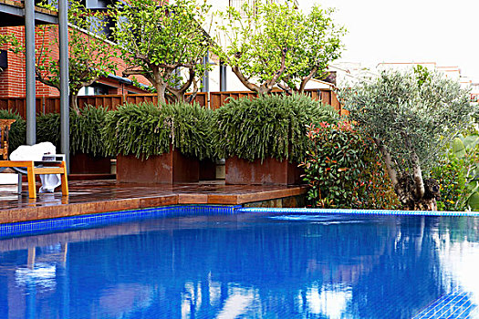 平台,花园,游泳池,鲜明,蓝色,砖瓦