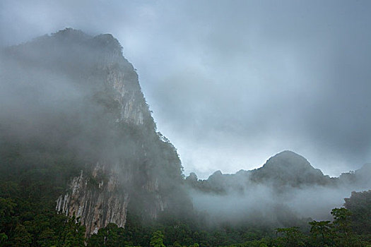 山地,风景,雾,胜地,苏拉塔尼,泰国
