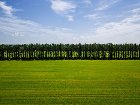 航拍,北海道,日本