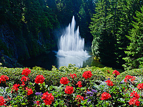 宝翠花园--罗斯喷泉