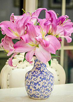 粉色的香水百合插花在青花瓷花瓶里