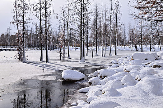 雪景