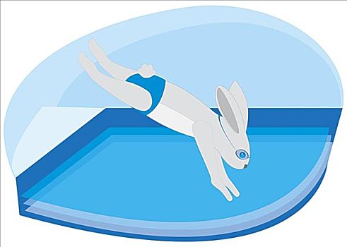 兔子,跳水,游泳池