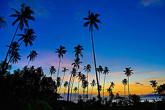 日落,背景,斐济