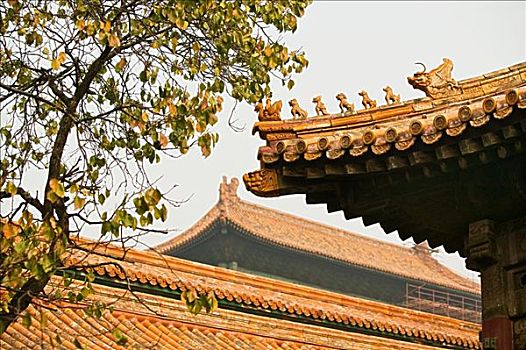 屋顶,故宫,北京