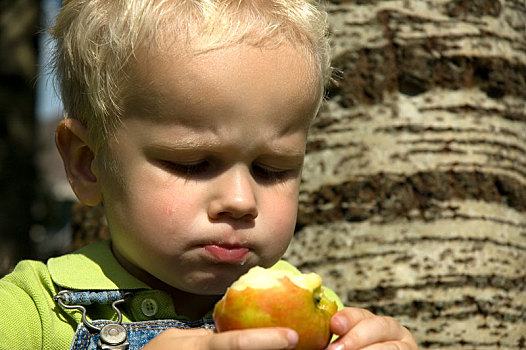 小男孩,多汁,苹果